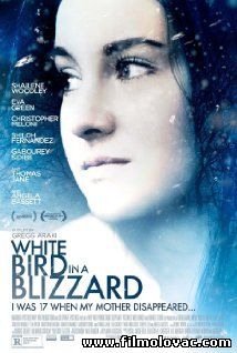 White Bird in a Blizzard (2014)