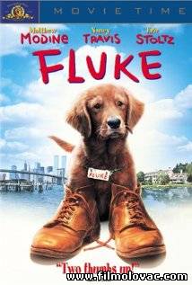 Fluke (1995)